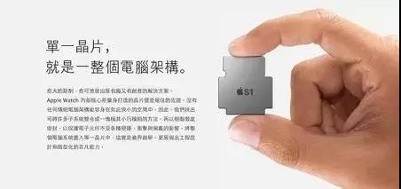baybet雷竞技